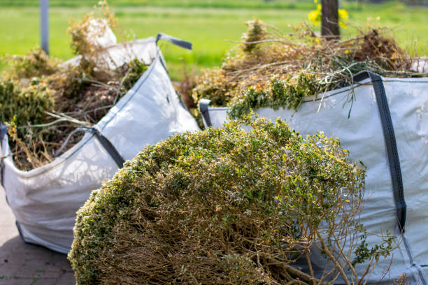 Best Junk Removal Near Me  in Sycamore, IL